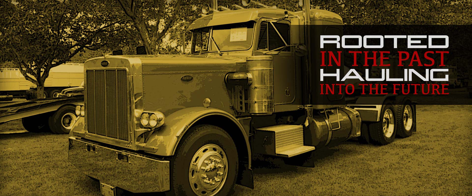 Basic Bootstrap Template